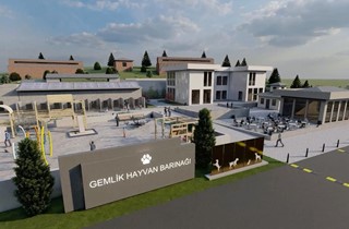 Gemlik Belediyesi Patili Dostlara Sahip Çıkıyor